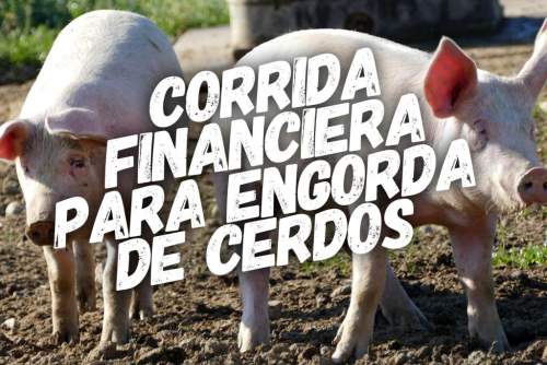 Corrida Financiera para Cria y Engorda de Porcinos